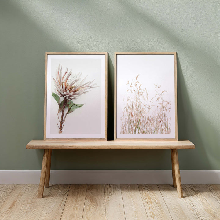 Set of 2 - Aged King I + Country Grass