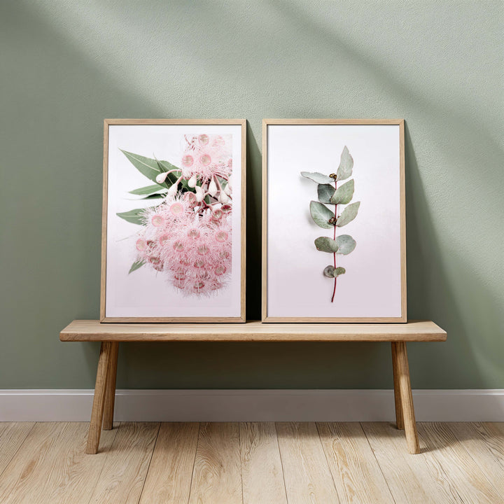 Set of 2 - Icy Pink Eucalyptus no.1 & Eucalyptus Leaves no. 2