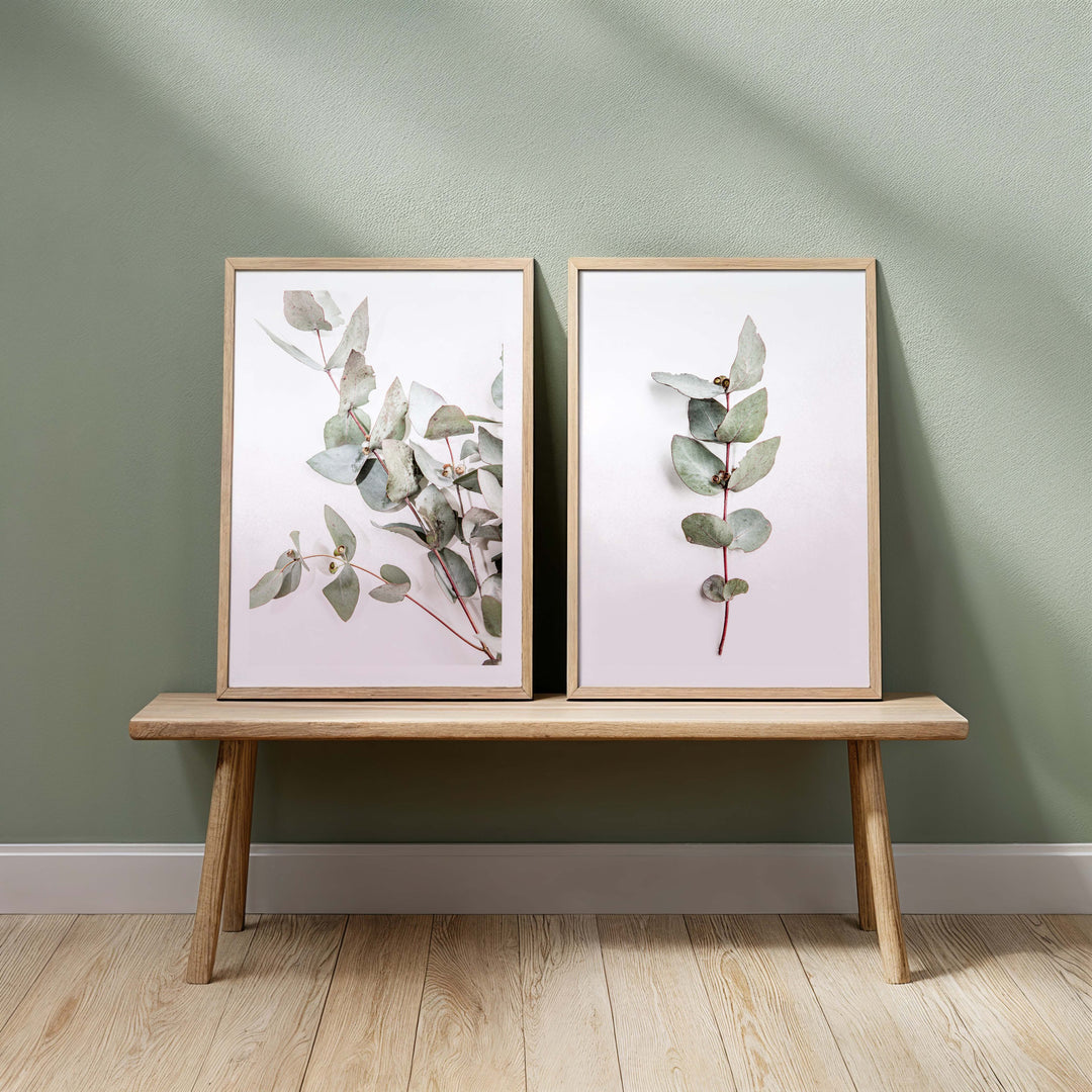 Eucalyptus Leaves no.2