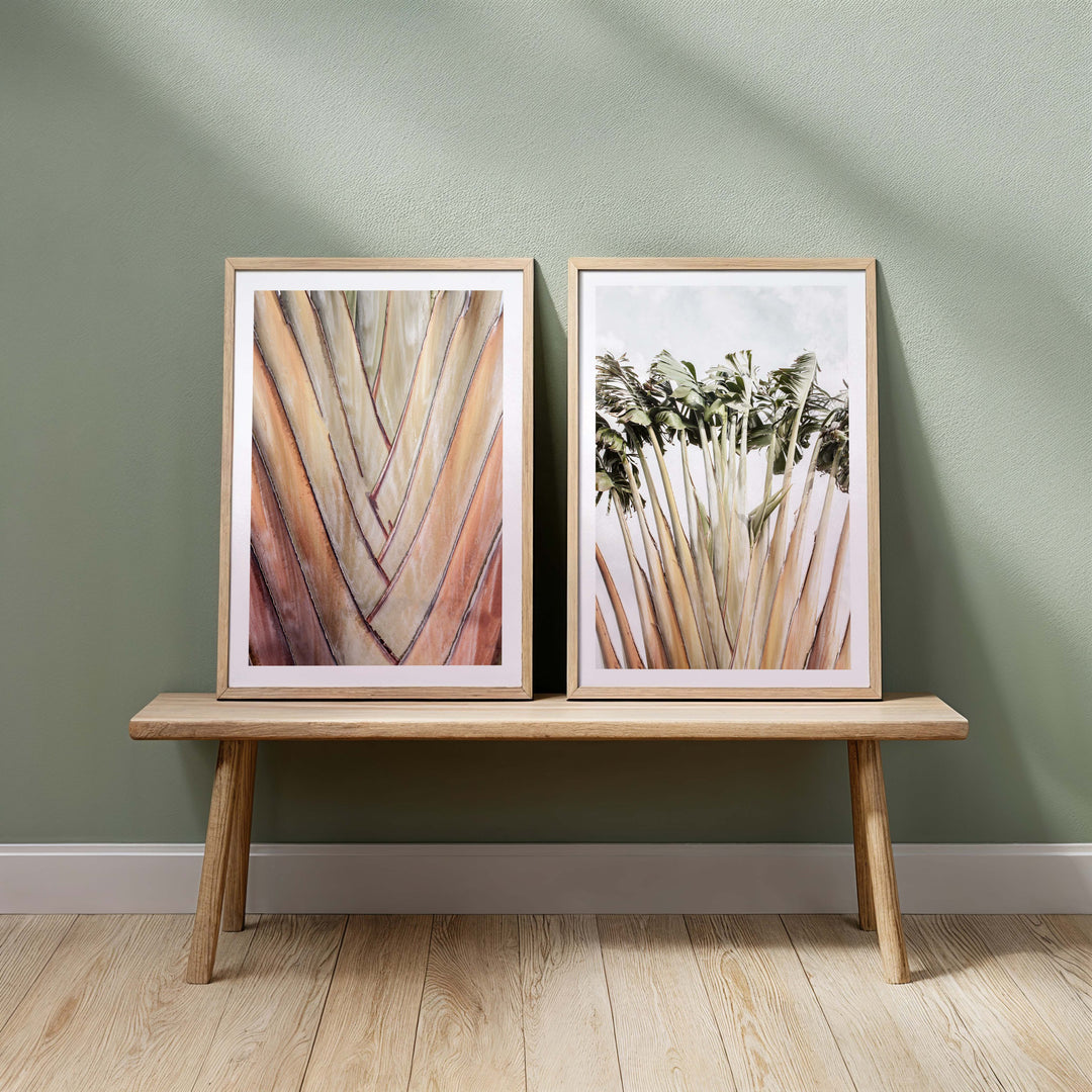 Set of 2 - Travellers Palm I + II