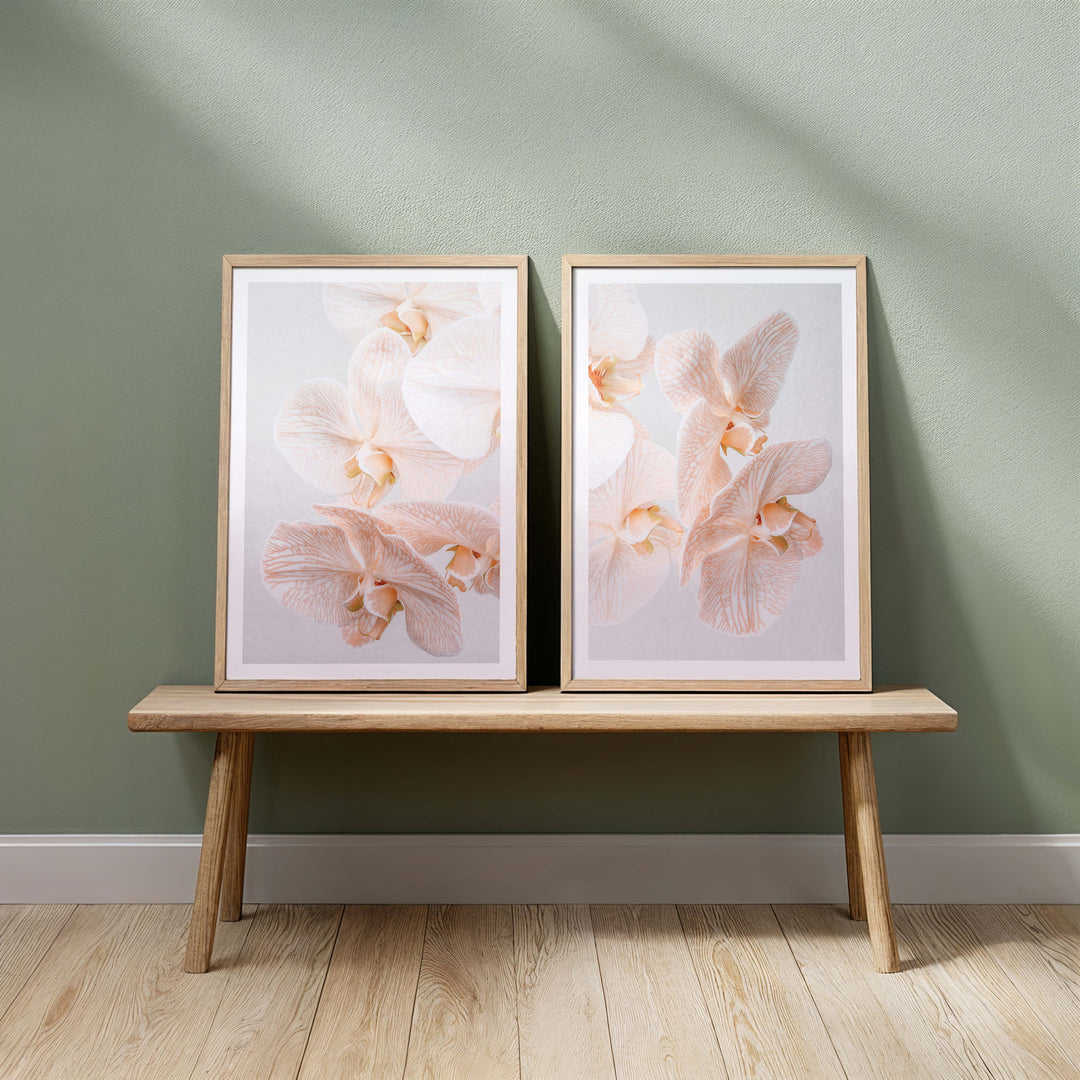 Set of 2 - Orchids III & Orchids IV
