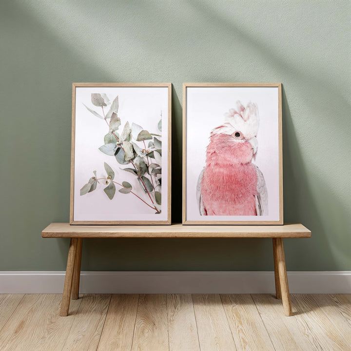 Set of 2 - Eucalyptus Leaves no.1 + Iggy