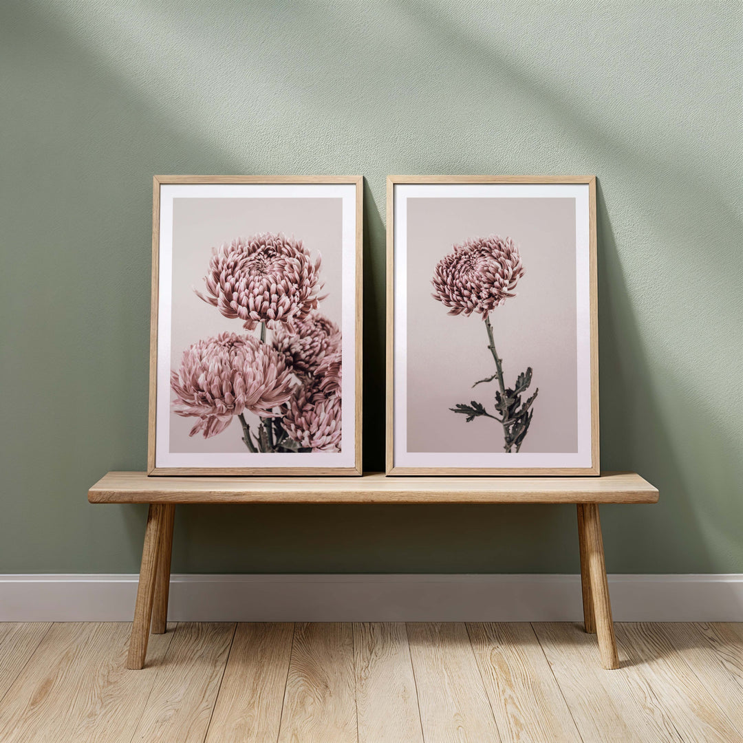 Set of 2 - Vintage Chrysanthemum I & II