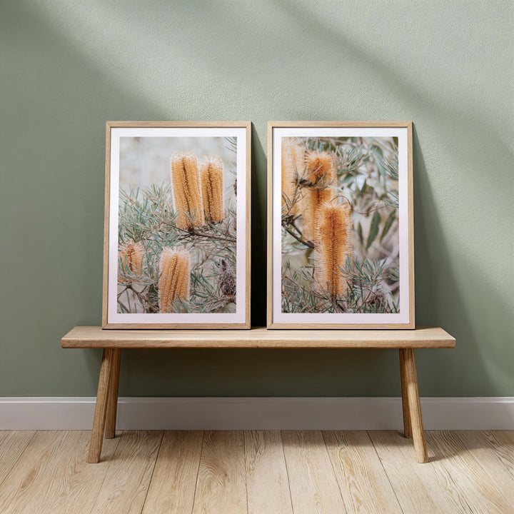 Set of 2 - Banksia I & II Frazer Beach