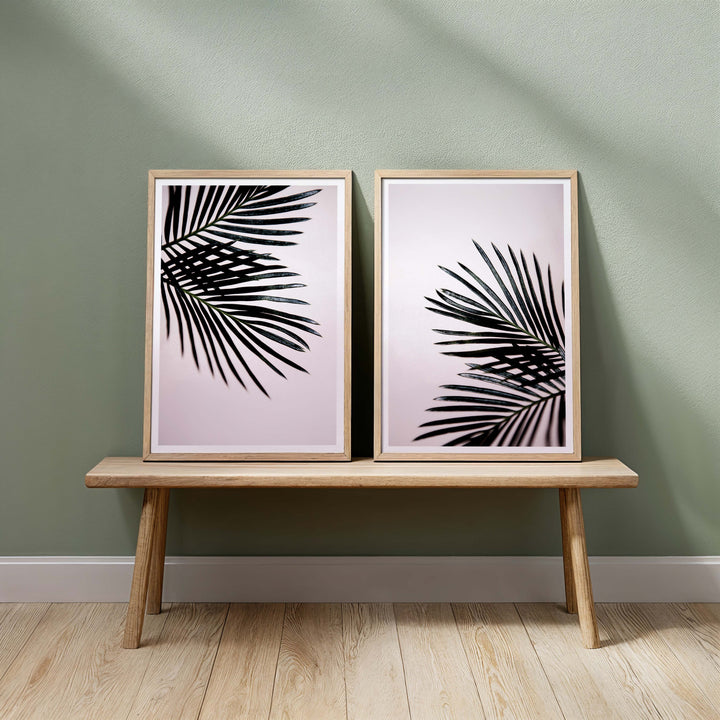 Sago Palm II