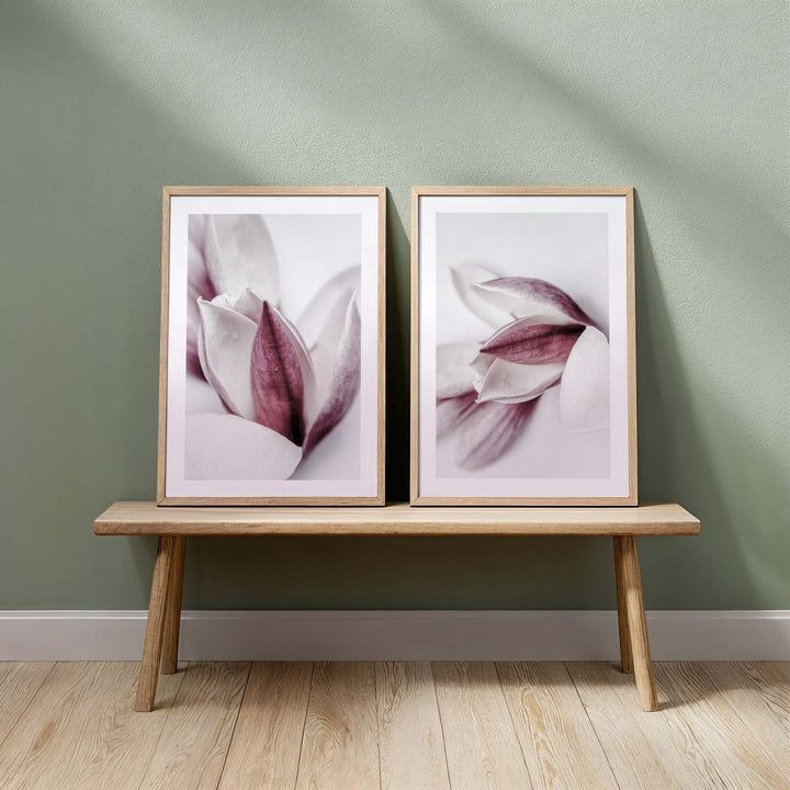 Set of 2 - Magnolia I + II