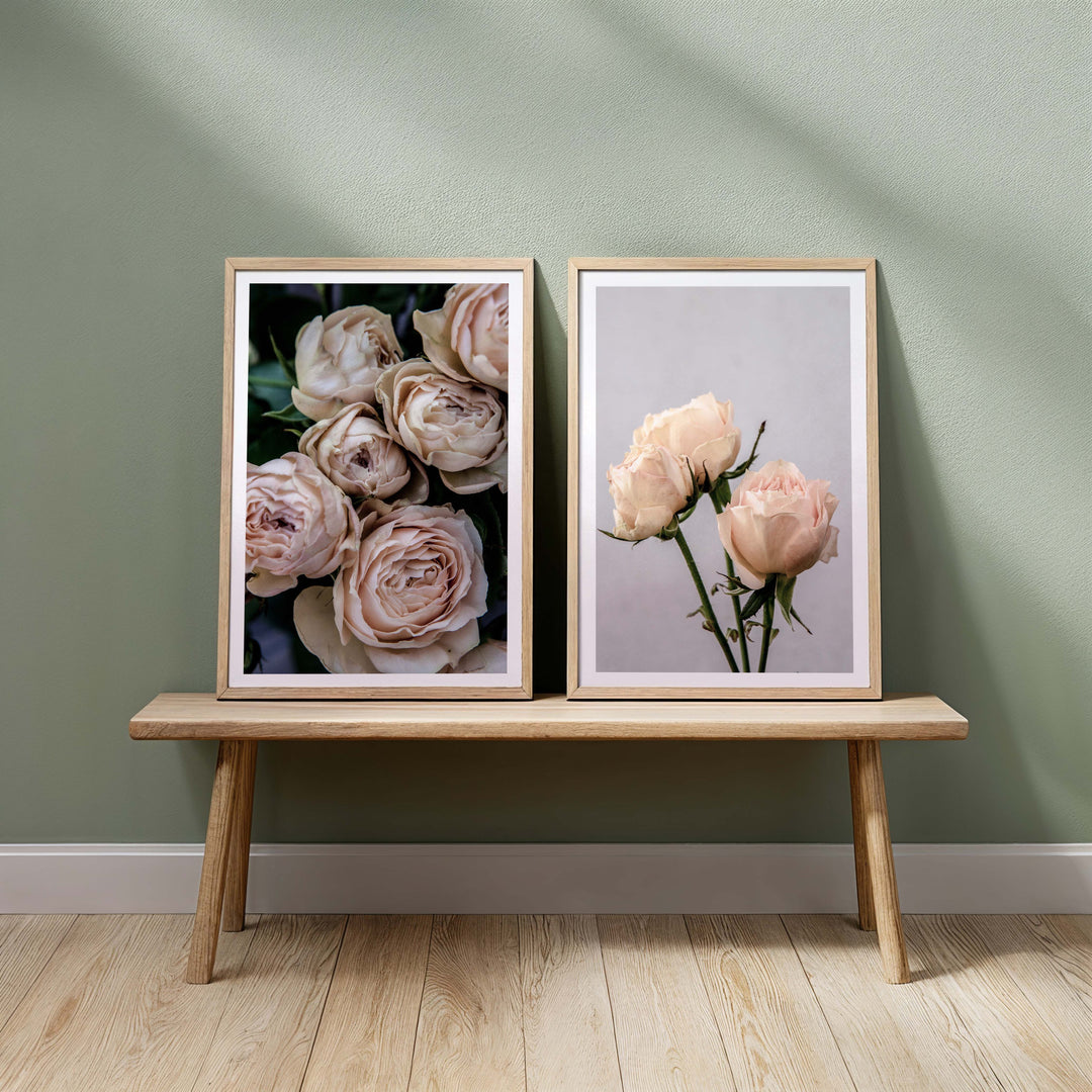 Vintage Rose I