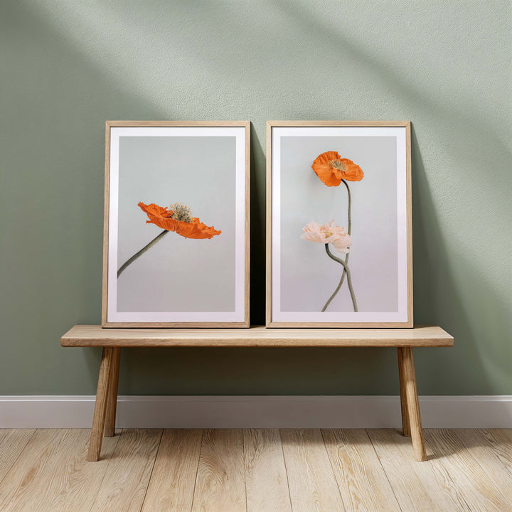 Set of 2 - Tall Poppy I & II