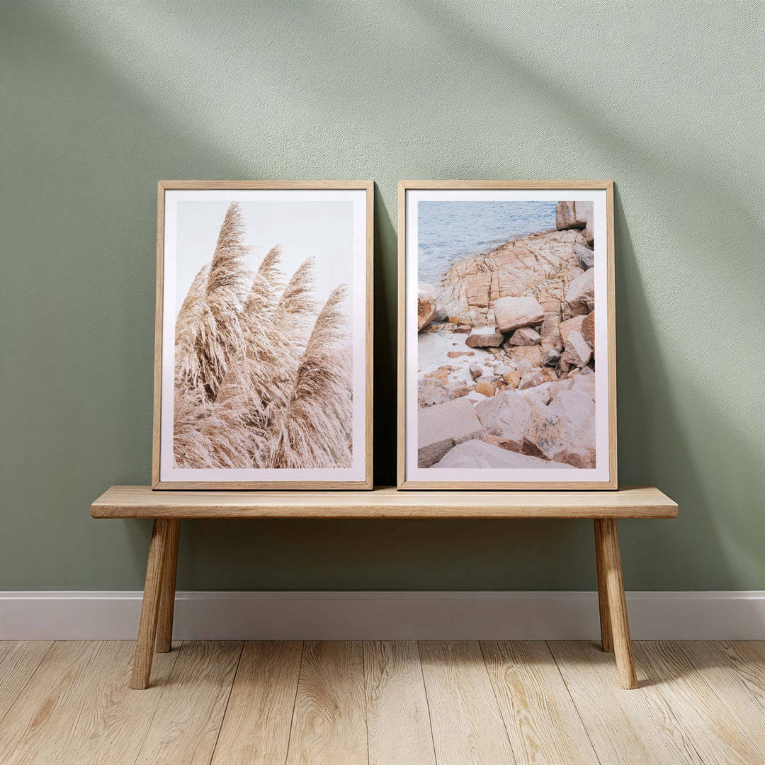 Set of 2 - Pampas Grass no.3 & Nelson Bay no.2