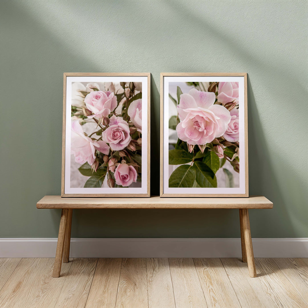 Rose Garden I