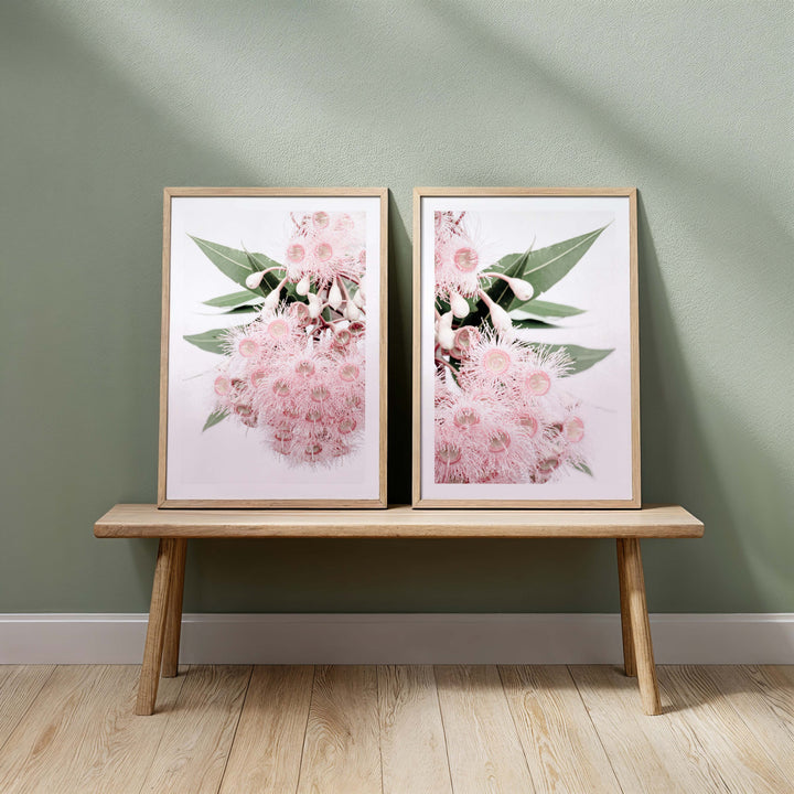 Set of 2 - Icy Pink Eucalyptus no.1 & no.2