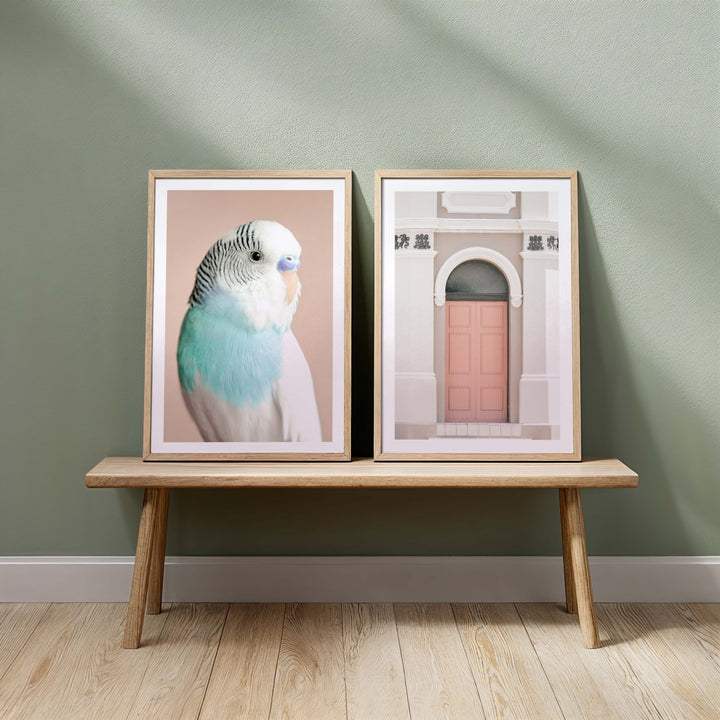 Peach Door - Carrington