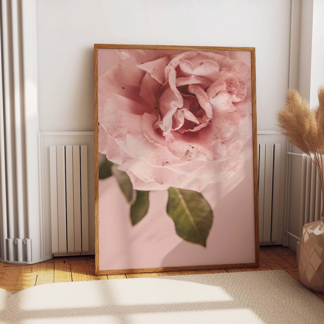 Pink Rose