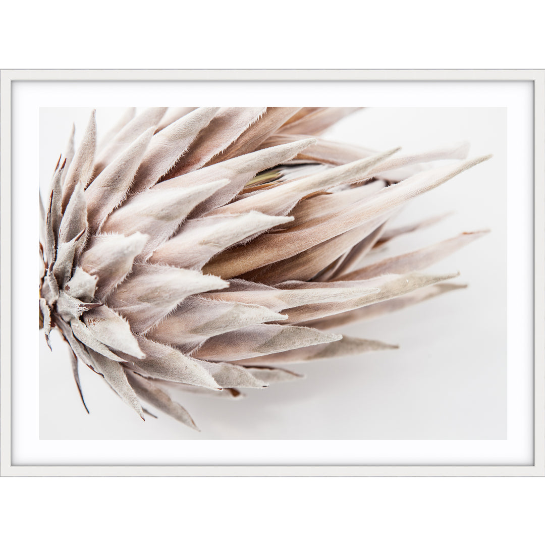 Ageing Gracefully II