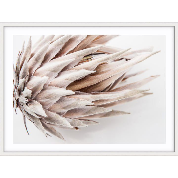 Ageing Gracefully II