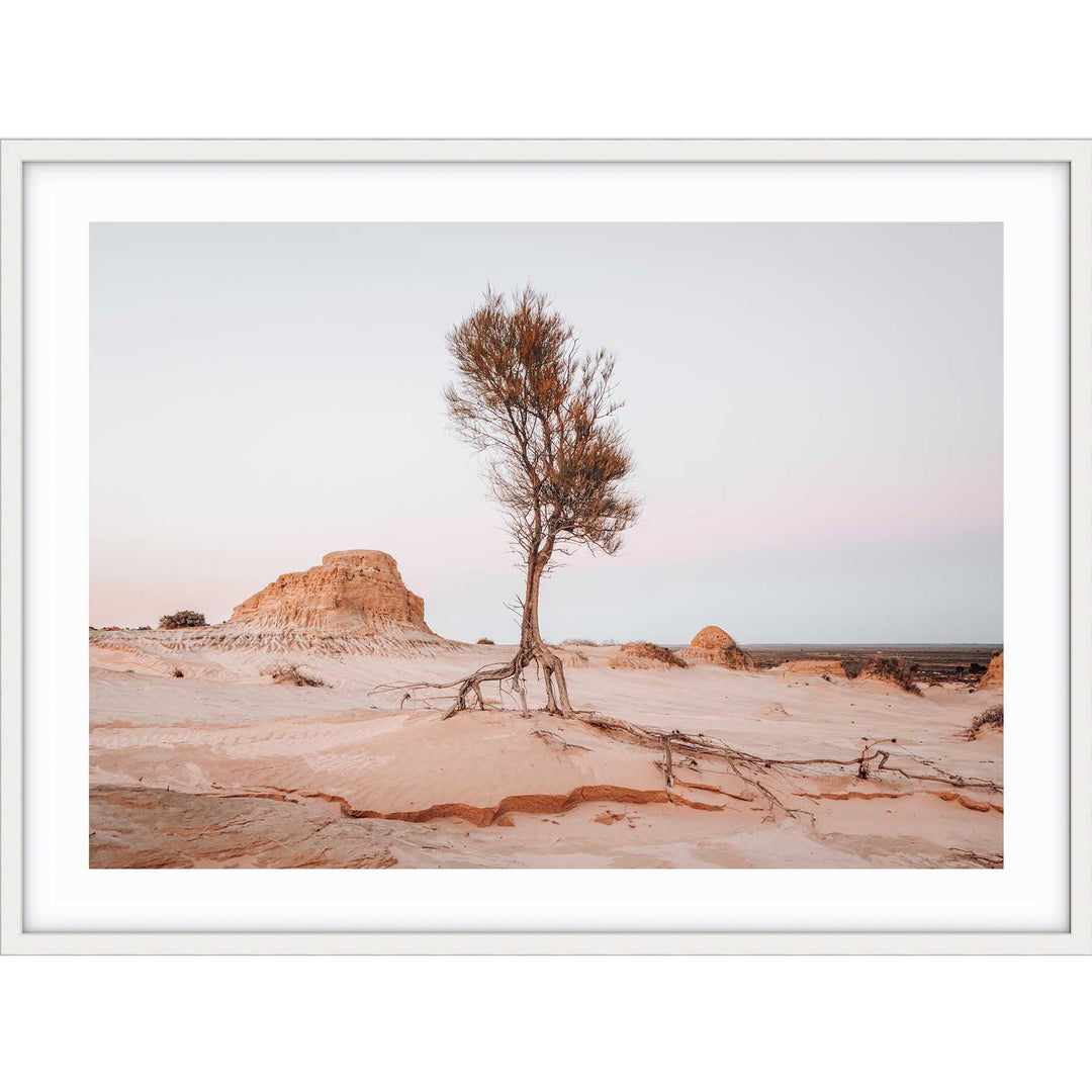 Mungo National Park