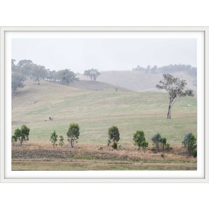 Bonnie Doon - Victoria