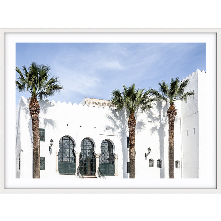 Moroccan Palms no.2