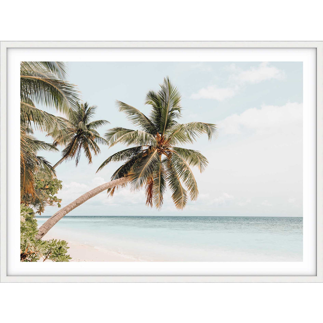 Maldive Palms II