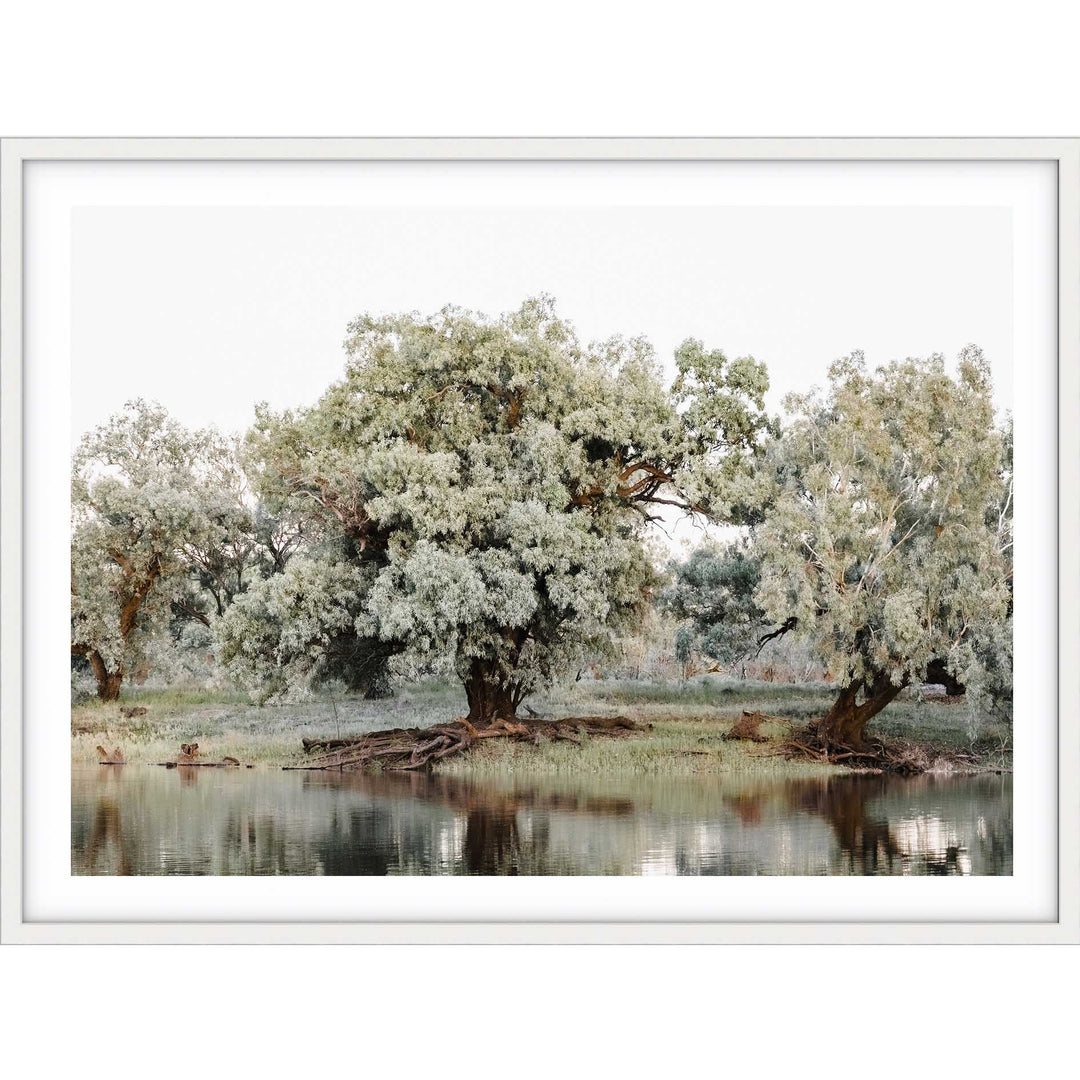 The Darling River Flooded II