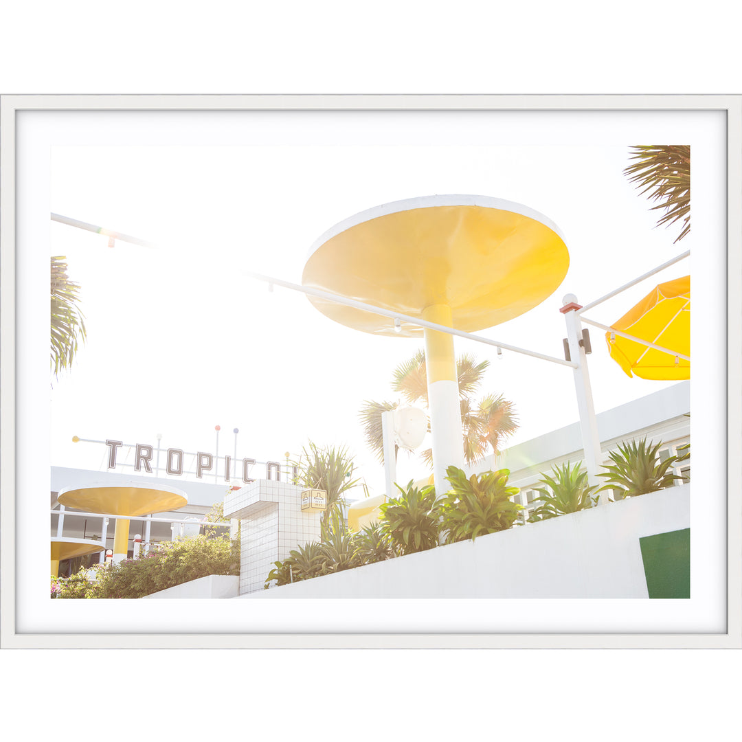 Tropicola no.1