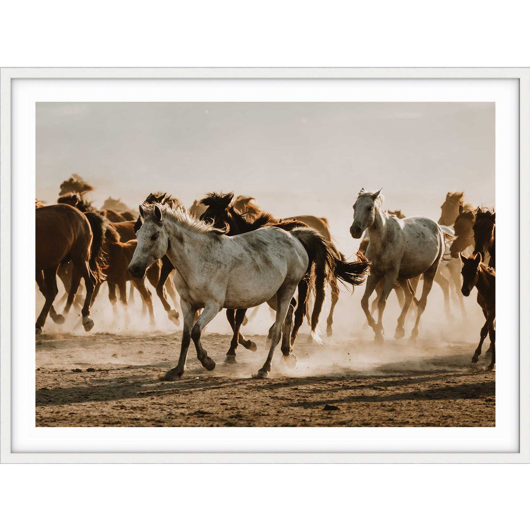 Mustering Italy II