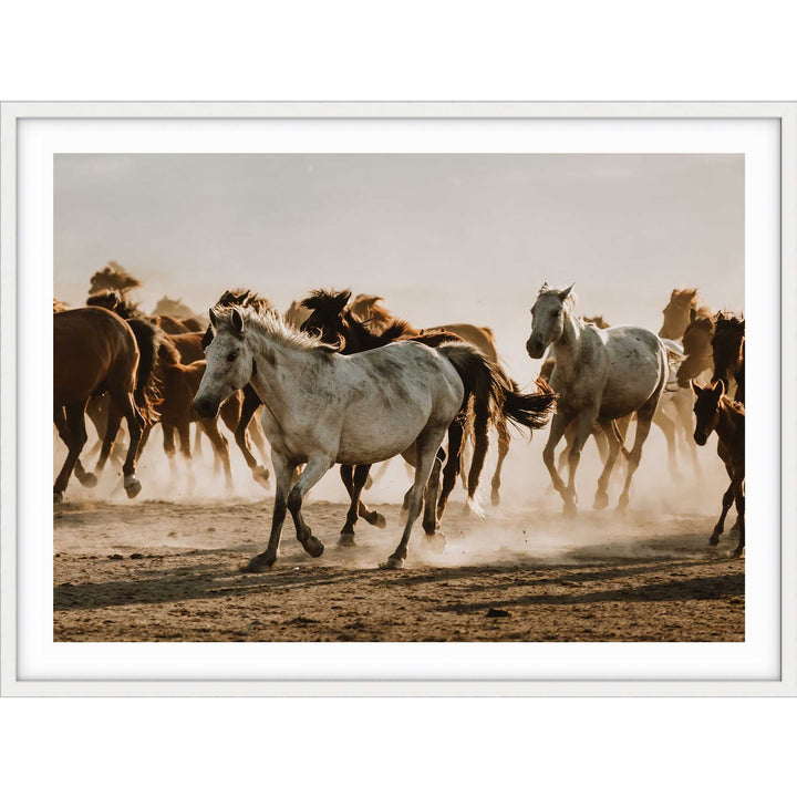 Mustering Italy II