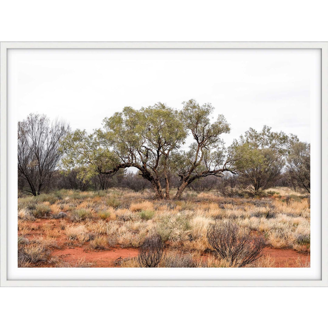 Red Dirt - Uluru III