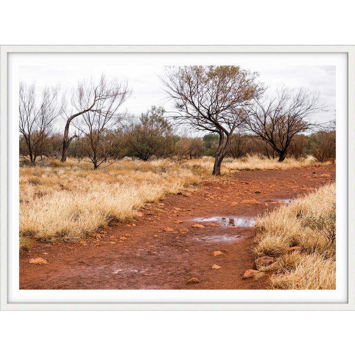 Red Track Uluru