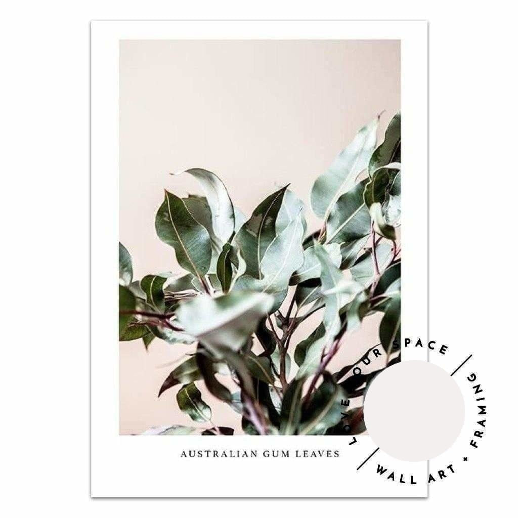 Australian Gum Leaves - Love Your Space