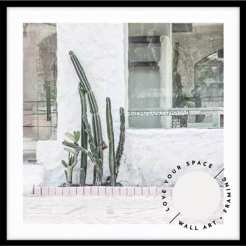 Bali Cactus no.1 - SQUARE - Love Your Space