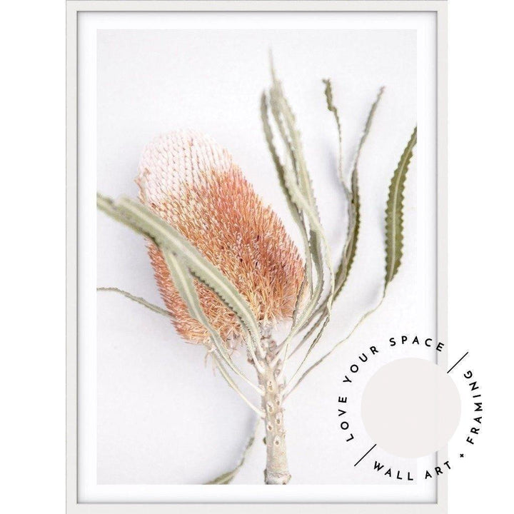 Banksia I - Love Your Space