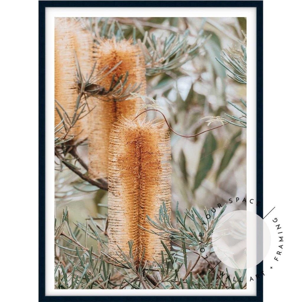 Banksia II - Frazer Beach - Love Your Space