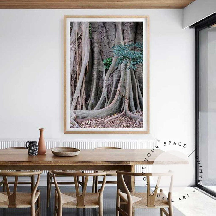 Banyan Tree - Bronte Beach - Love Your Space