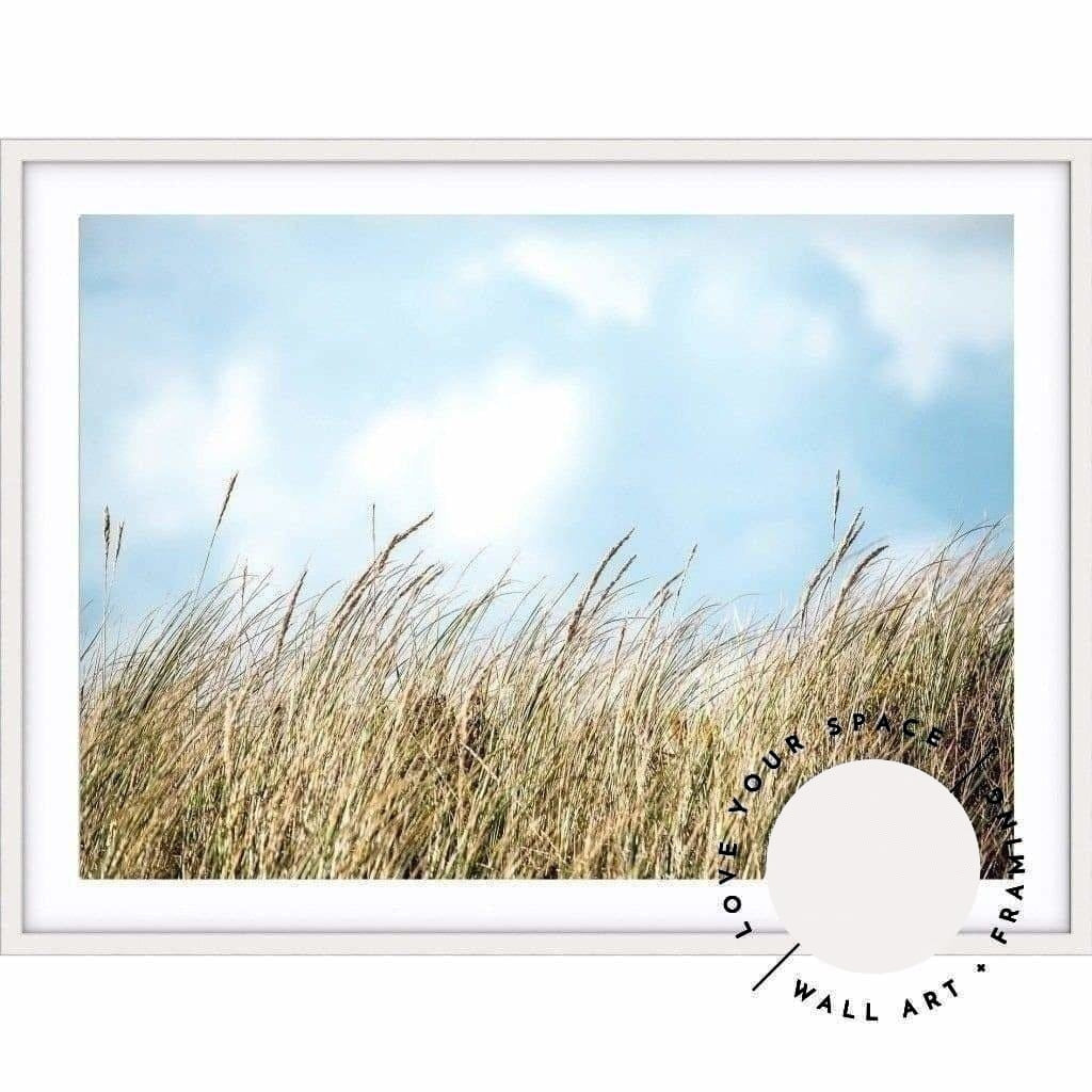 Beach Grass - Port Fairy - Love Your Space