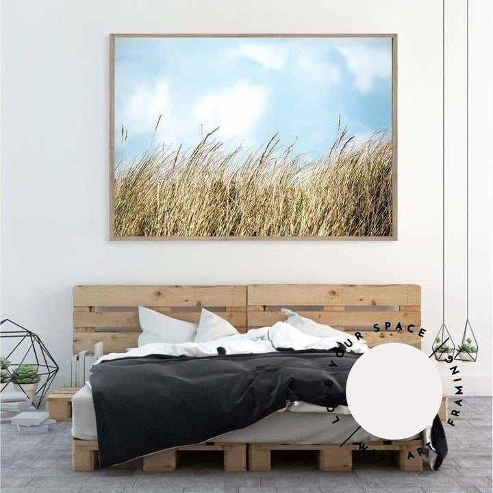 Beach Grass - Port Fairy - Love Your Space