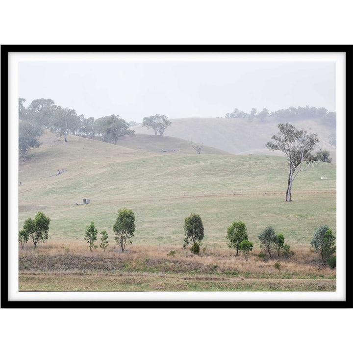 Bonnie Doon - Victoria