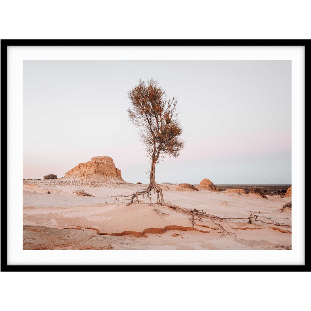 Mungo National Park