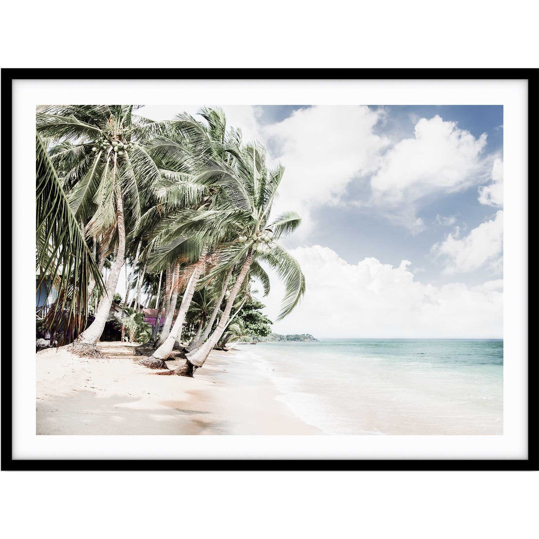 Hawaii Days II