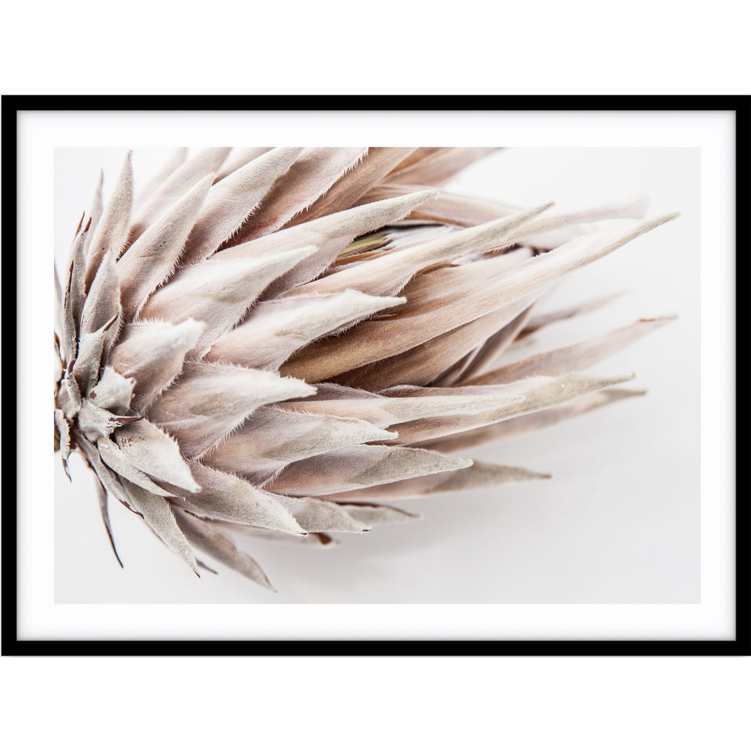 Ageing Gracefully II