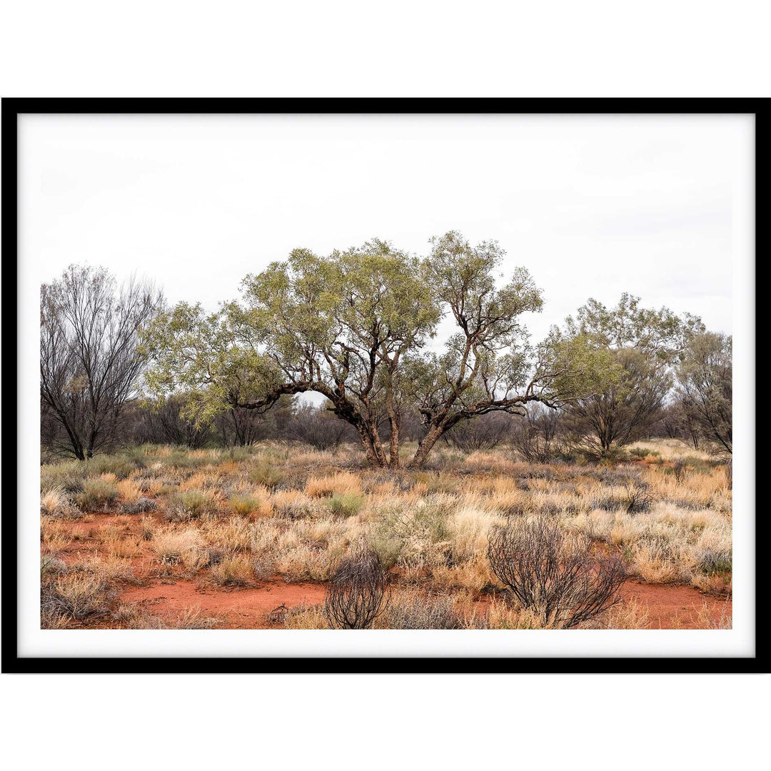 Red Dirt - Uluru III