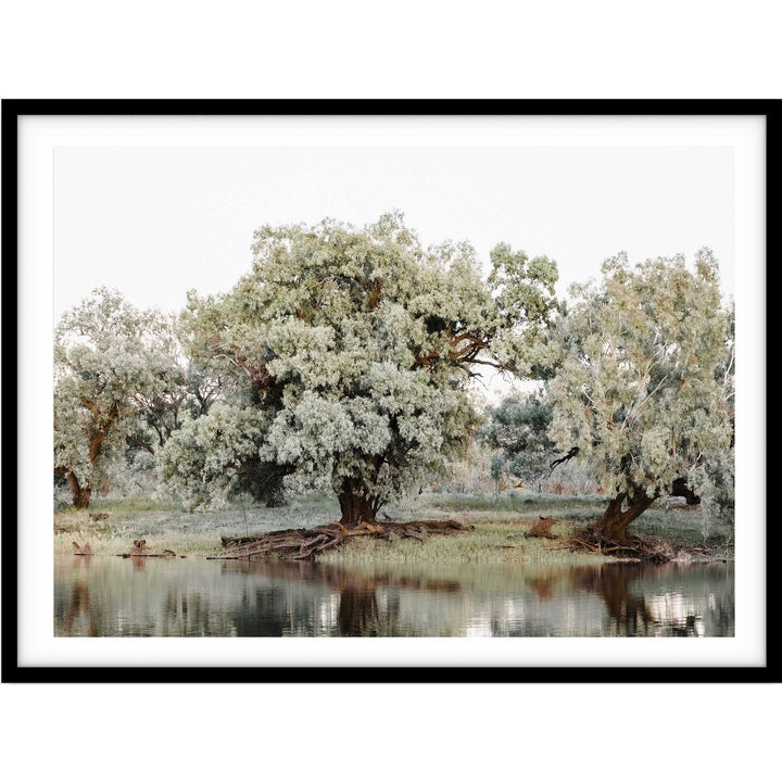 The Darling River Flooded II