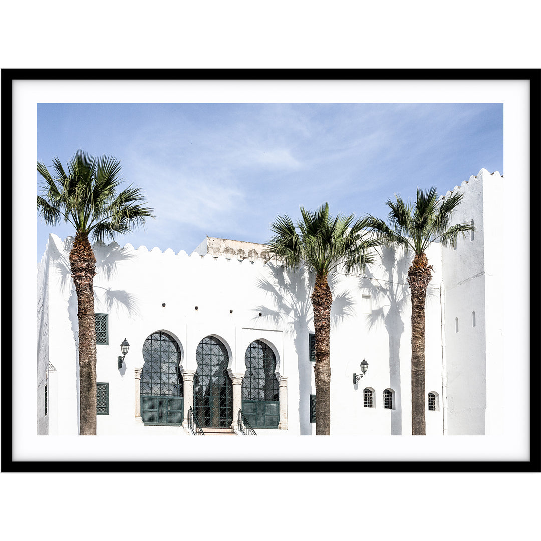Moroccan Palms no.2
