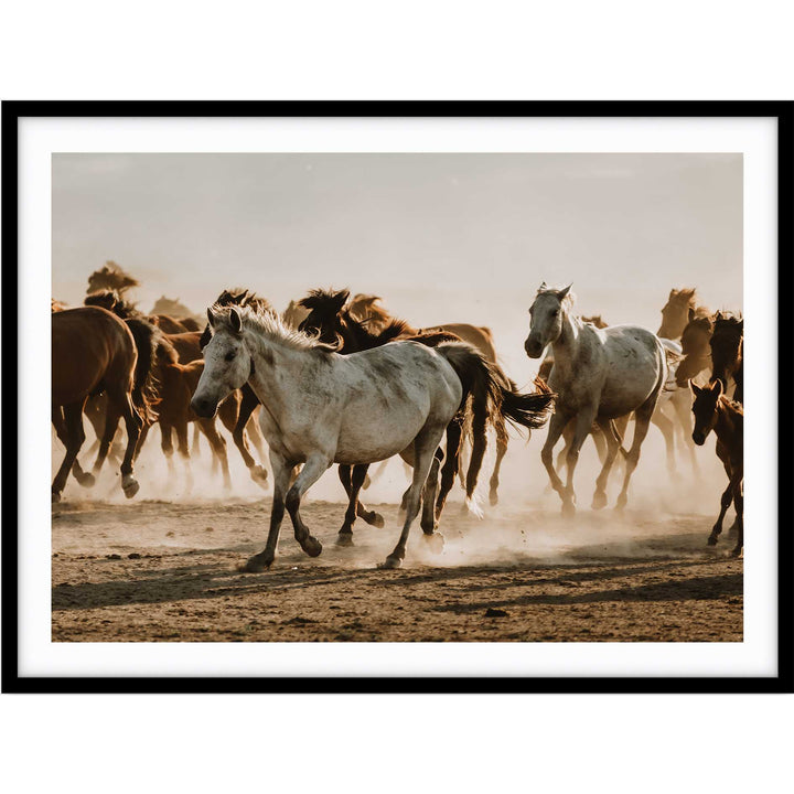 Mustering Italy II