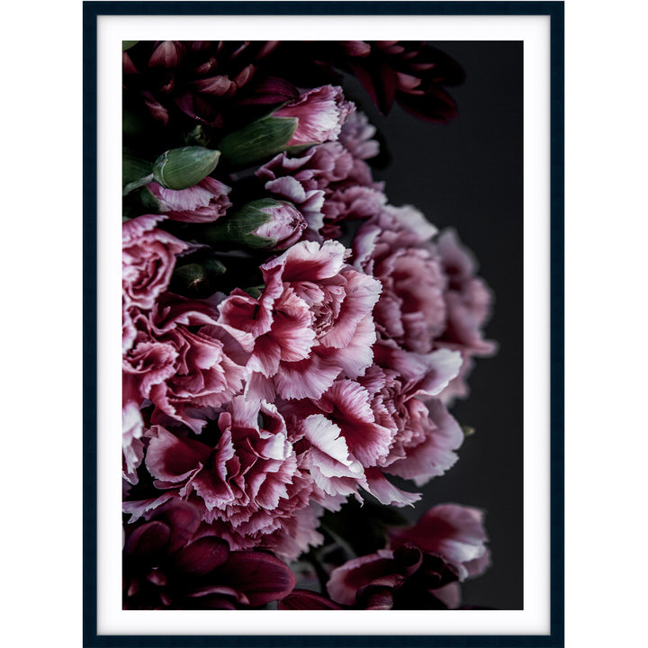 Carnations I