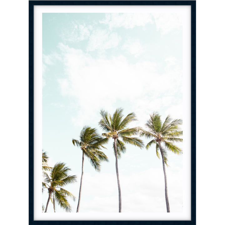 Tropical Palms I