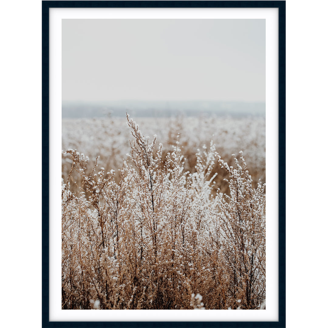Country Grass no.2