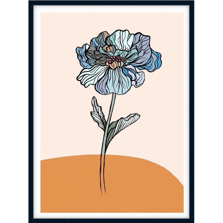 Coloured Rose II