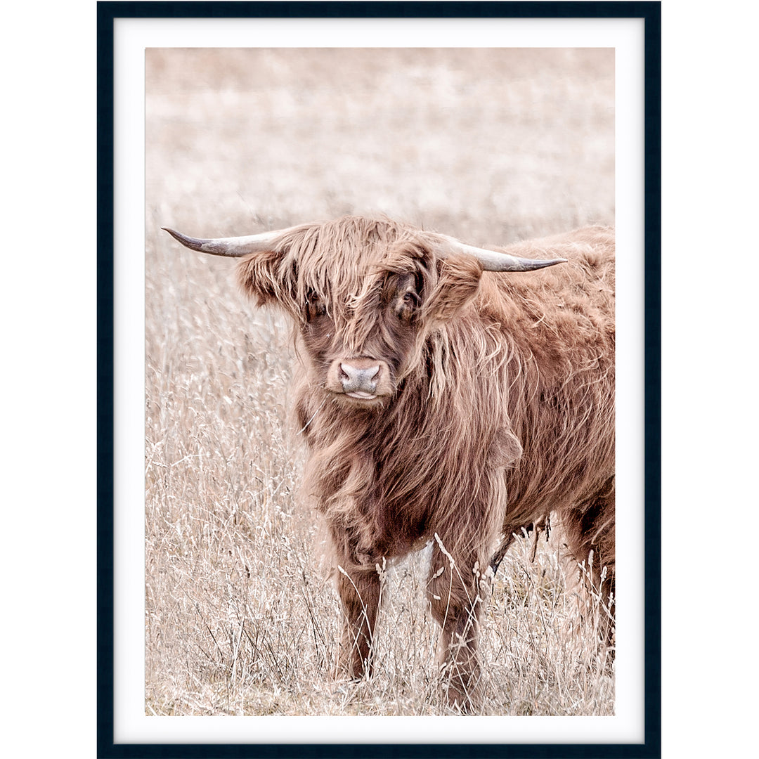 Highland II