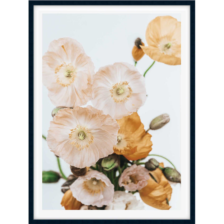 Pretty Poppies no.1